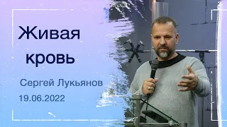 "Живая кровь" - Сергей Лукьянов - 19.06.2022