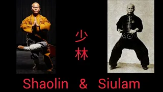 Shaolin del Norte & Shaolin del Sur  Kung Fu (Bei Shaolin & Nan Shaolin) 少林功夫