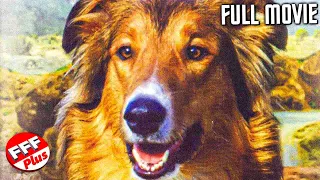 LASSIE'S GREAT ADVENTURE | Full FAMILY Movie