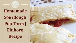 Homemade Sourdough Pop Tarts | Einkorn Recipe