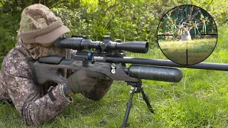 The Airgun Show – rabbit hunting with stalking and ambush tactics, PLUS the Gamo GX-40…