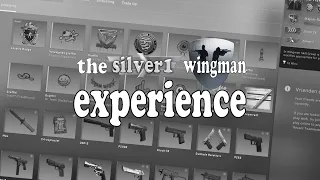 CSGO: the silver 1 wingman experience