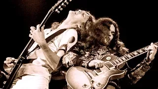 FREE BIRD's 9 Essential Guitar Solo Licks