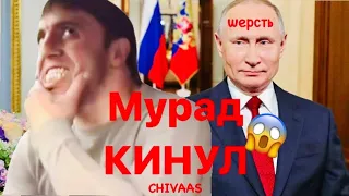 Мурад кинул Путина