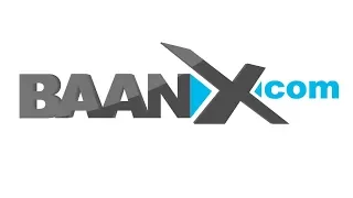 Разбор Baanx.com (BAANX) | Детали ICO