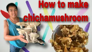 How to make chicha-mushroom❓❔⁉️