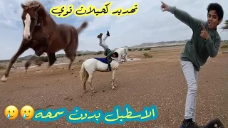 المربط بدون سمحه وييين راحت ياترى⁉️الأمهار كانت بتسبب فينا حدث🐎😩