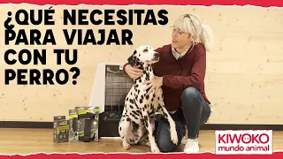 Consejos para viajar con tu perro🐶