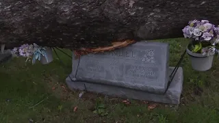 Headstones damaged at Kaukauna cemetery