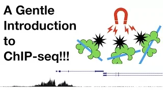 StatQuest: A gentle introduction to ChIP-Seq