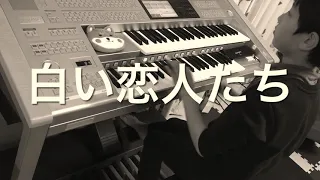 【７級】白い恋人たち『今宵、バレンタインに切なく甘いメロディーを♪』(エレクトーン electone video)