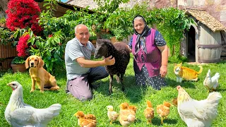 This Couple Lives Entirely According To Tradition in An Azerbaijani Village!