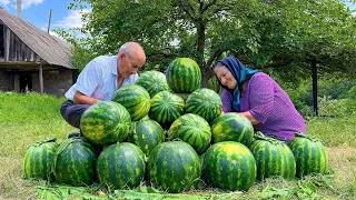 Mix of Watermelon, Tomato and Blackberry Harvests! Making Juice, Jam and Cake in the Village!