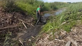 Expedition #34 | Beaver dam removal. Rebuilt dam after total mechanical removal.