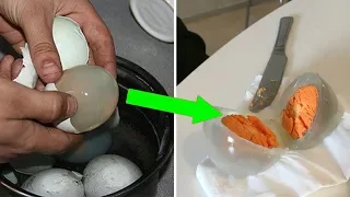 The TASTIEST Eggs You Can Actually Eat!