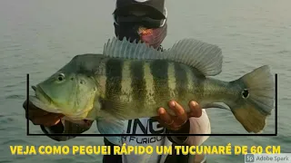 VEJA COMO PEGUEI RÁPIDO UM TUCUNARÉ DE 60 CM