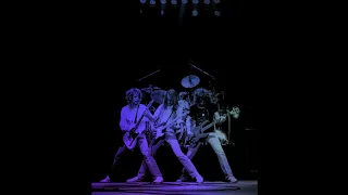 Status Quo live in London 1981