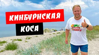 Кинбурнская коса. Чистое море. Дикая природа. Обзор курорта Кинбурнская коса