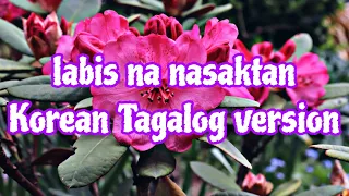 Labis na nasaktan Korean version & tagalog version#labisnanasaktan #labisnanasaktanjapaneseversion