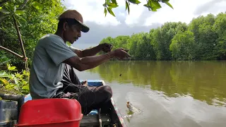 Memancing Kakap Merah Di Sungai Kecil, Tompel, kerapu, Ikan Gelama, Ikan Kapas