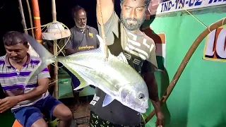 Catching Giant Trevally, Barracuda Fish & Mangrove Jack in the Sea