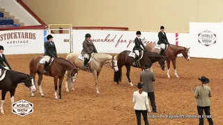 2022 APHA World Show Non Pro 3 YO HUS Stakes