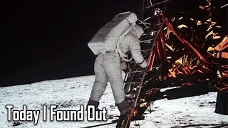 What Did Neil Armstrong Really Say?