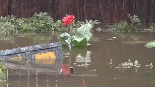 Биробиджан паводок😪 22.08.2019год