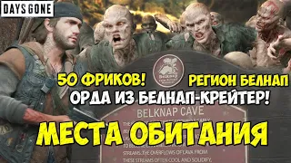 Орда из Белнап-Крейтер(Belknap Crater Horde). 50 Фриков. Белнап.  Места обитания. #daysgone #horde