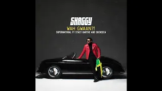 Shaggy - Supernatural ft. Stacy Barthe & Shenseea (Official Audio)