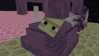 How To Breed Shulkers In Minecraft #Shorts