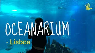 Oceanarium in Lisbon, what to expect?