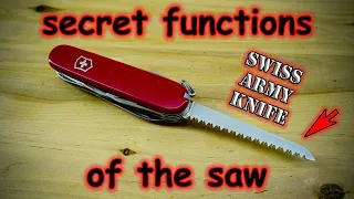 Secret Functions of the SAW in the Swiss Army Knife