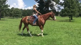 Winston's Video By Horse Of My Dreams