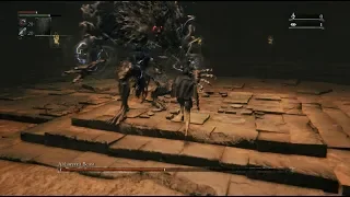 BL4 FRC Abhorrent Beast No Rolling/Quickstepping (No Blood Gems or Buffs)