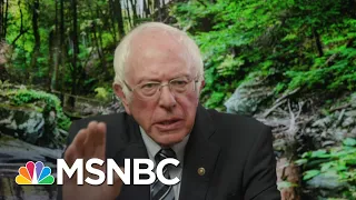 Sen. Sanders Says Biden Is In An 'Excellent Position' to Win , Denies Reported Concerns | MSNBC
