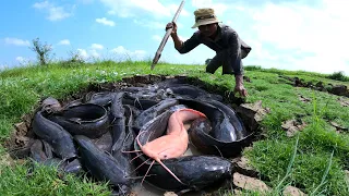 amazing fishing! a lots of catch catfish in underground at field when dry season by hand a fisherman