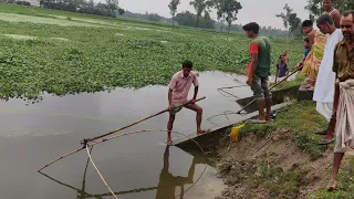 Unbelievable fishing in rainy day | Huge country fish catching in flooded paddy field by net trap