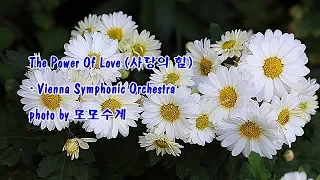 The Power Of Love (사랑의 힘)/Vienna Symphonic Orchestra & photo by 모모수계