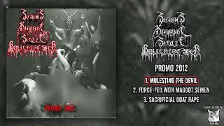 Satans Karaoke Sleaze Rollercoaster - Promo 2012 (Blackened Cybergrind / Goregrind)