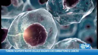 Tumori: scoperte nuove cellule-soldato che combattono il cancro