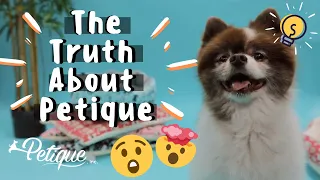 The Truth About Petique and Their Unique Pet Products