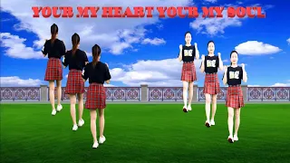 YOU'RE MY HEART YOU'RE MY SOUL/ HAI HƯỚNG ĐẸP -DỄ HỌC