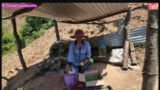 😀😀Un día trabajando en el campo para sembrar nuestras plantitas 😀😀