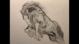 Horse Drawing Realtime: