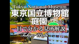 【東京国立博物館・庭園公開】一目でわかる東京国立博物館と、貴重な庭園解説。耳で分かる説明動画。（ENGLISH OK)/Tokyo National Museum