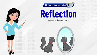 Reflection | Reflection of Light | Transparent, Translucent & Opaque Objects | Examples | Science