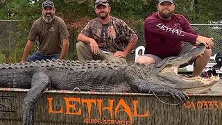 Father and daughter may have caught the biggest gator in Georgia history