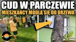 10 najciekawszych newsów tygodnia (19/05/2023) - Cud w Parczewie, Popek na Dniu Dziecka w Mrągowie