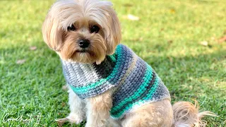 Crochet a dog sweater | Small | 30cm long | Full tutorial